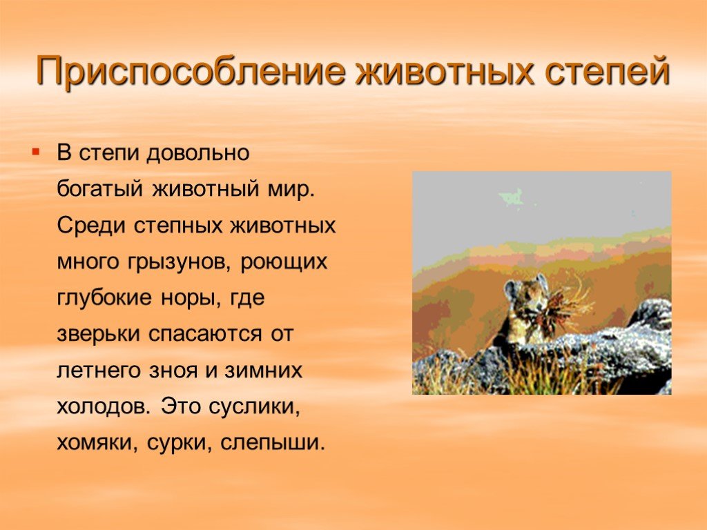Приспособление к окружающей среде животных степной зоны. Приспособления животных в степи. Приспособления животных в степи России. Приспособленность животных в степи. Приспособление растений и животных в степи.
