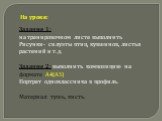 Задание 1: на тренировочном листе выполнить Рисунки- силуэты птиц, кувшинов, листья растений и т. д. Задание 2: выполнить композицию на формате А4(А5) Портрет одноклассника в профиль. Материал: тушь, кисть. На уроке: