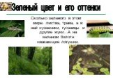 Сколько зеленого в этом мире: листва, трава, а в ней кузнечики, гусеницы и другие жуки…А на зеленом болоте квакающие лягушки. Зеленый цвет и его оттенки