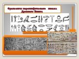 Фрагменты иероглифического письма Древнего Египта