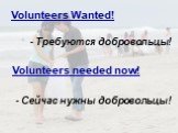 - Требуются добровольцы! Volunteers Wanted! Volunteers needed now! - Сейчас нужны добровольцы!