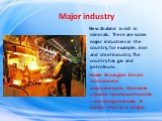 Major industry. New Zealand is rich in minerals. There are some major industries in the country, for example, iron and steel industry. The country has gas and petroleum. Новая Зеландия богата полезными ископаемыми. Основная отрасль промышленности – металлургическая. В стране есть газ и нефть.