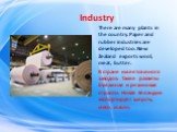 Industry. There are many plants in the country. Paper and rubber industries are developed too. New Zealand exports wool, meat, butter. В стране имеется много заводов. Также развиты бумажная и резиновая отрасли. Новая Зеландия экспортирует шерсть, мясо, масло.