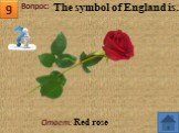 Ответ: Red rose The symbol of England is..