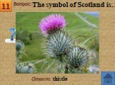 Ответ: thistle The symbol of Scotland is…