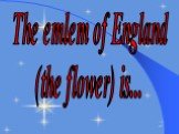 The emlem of England (the flower) is...