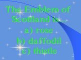 The Emblem of Scottland is... a) rose b) daffodil c) thistle