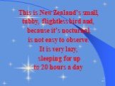 This is New Zealand’s small, tubby, flightless bird and, because it’s nocturnal, is not easy to observe. It is very lazy, sleeping for up to 20 hours a day
