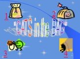 "CATS in the BAG" 1 3 4 2