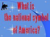 What is the national symbol of America?