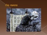 the ravens