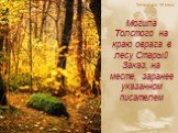 Могила Толстого на краю оврага в лесу Старый Заказ, на месте, заранее указанном писателем