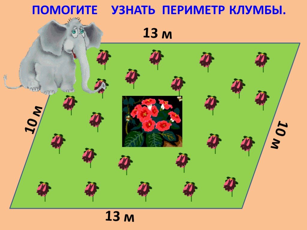 Задача про клумбу. Периметр клумбы. Найти периметр клумбы. Найдите периметр цветочной клумбы. Как найти периметр клумбы.