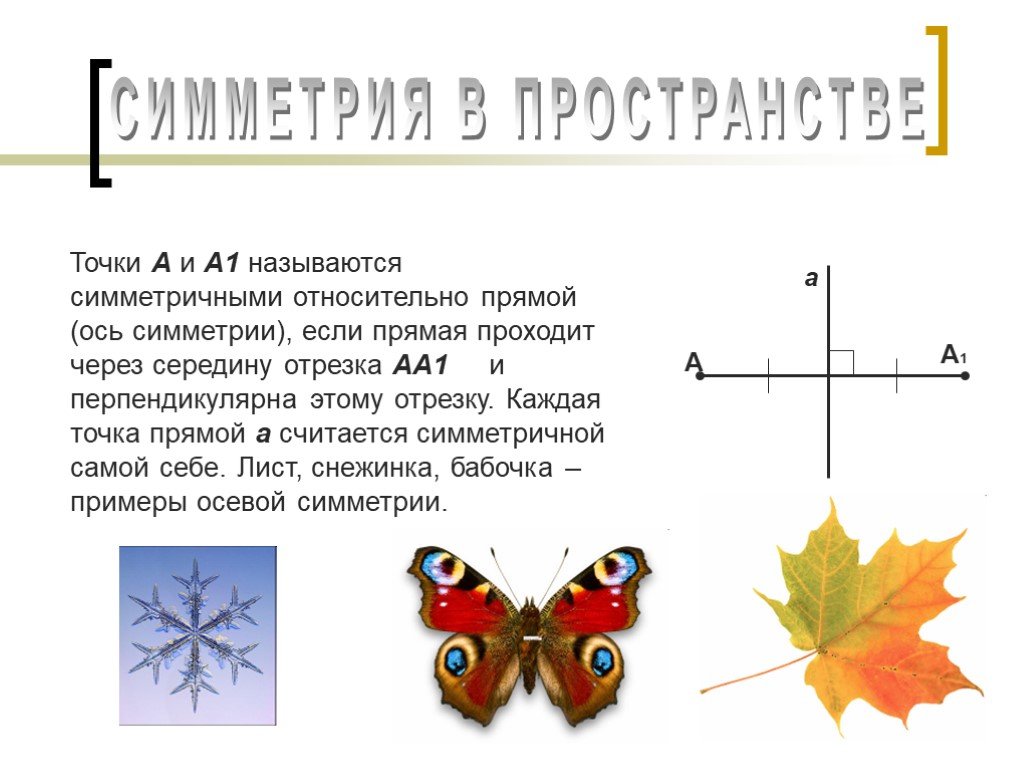 Математика 6 класс проект на тему симметрия - 91 фото