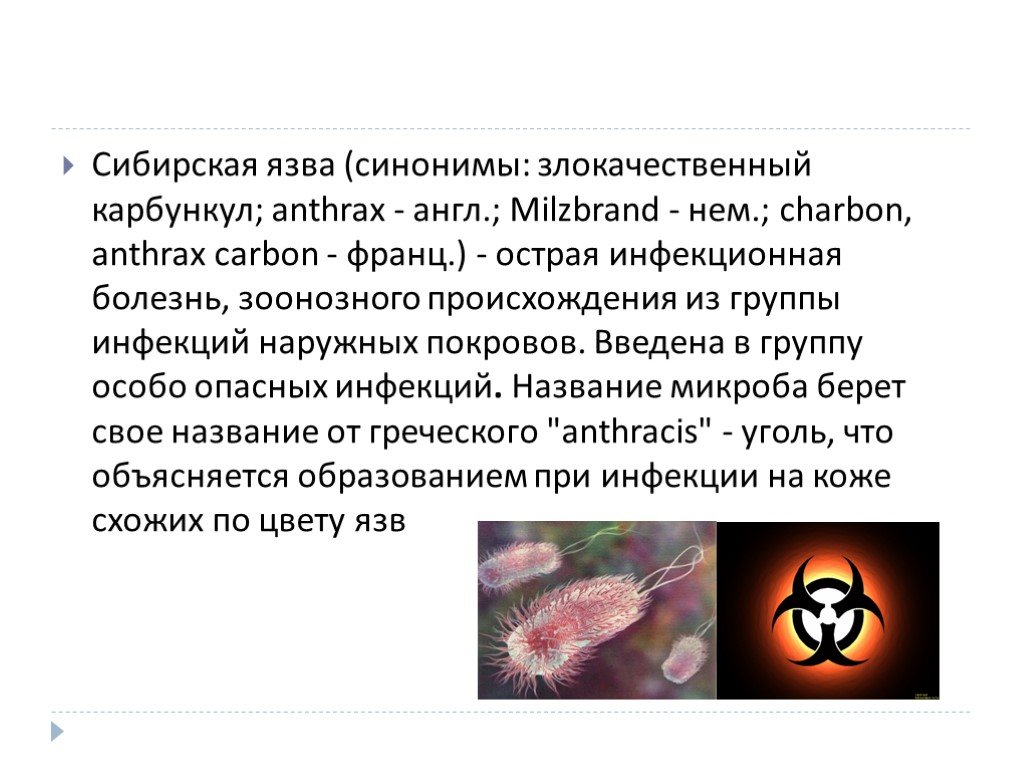 В скотомогильниках бактерии очень опасного заболевания. Сибирская язва презентация. Сибирская язва презентация инфекционные болезни.