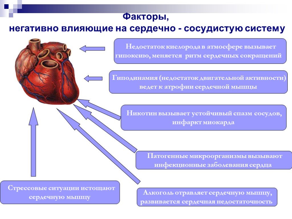 Сердечные заболевания сообщение. Факторы негативно влияющие на сердечно-сосудистую систему. Сердечно-сосудистые заболевания презентация. Презентация на тему сердечно сосудистые заболевания. Болезни сердца презентация.