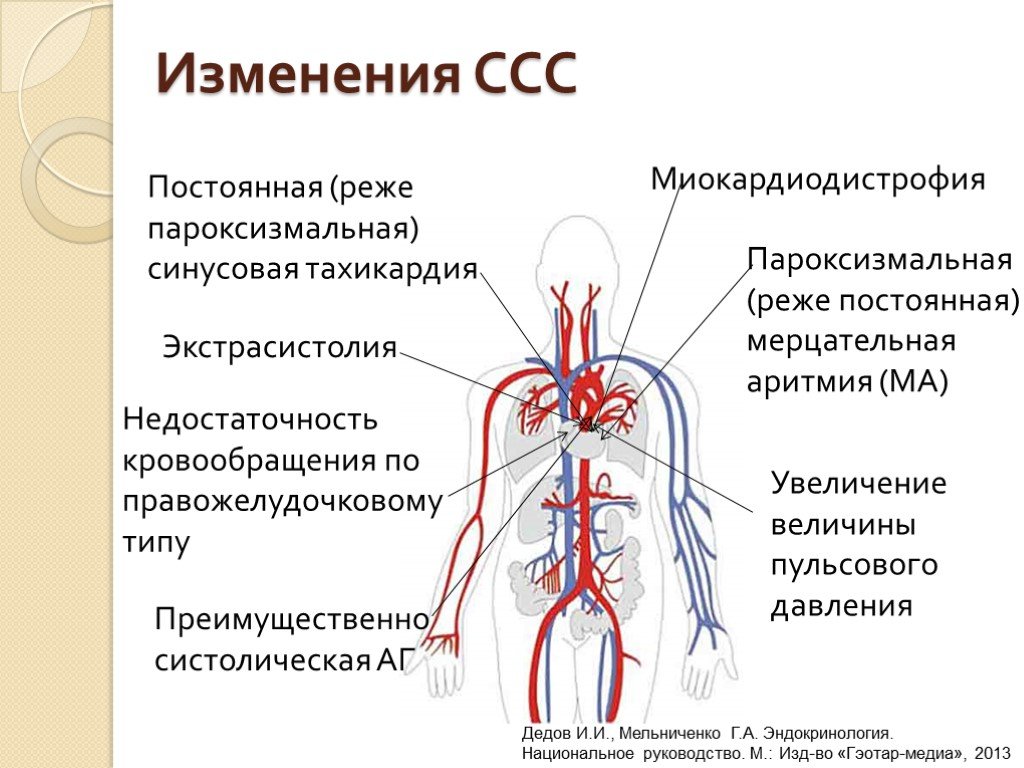 Возрастные изменения сердца. Сердечно сосудистая система. Сердечносоудистая система. Изменение сердечно сосудистой системы. Возрастные изменения сердечно-сосудистой системы.