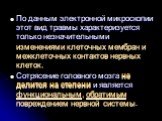 По данным электронной микроскопии этот вид травмы характеризуется только незначительными изменениями клеточных мембран и межклеточных контактов нервных клеток. Сотрясение головного мозга не делится на степени и является функциональным, обратимым повреждением нервной системы.