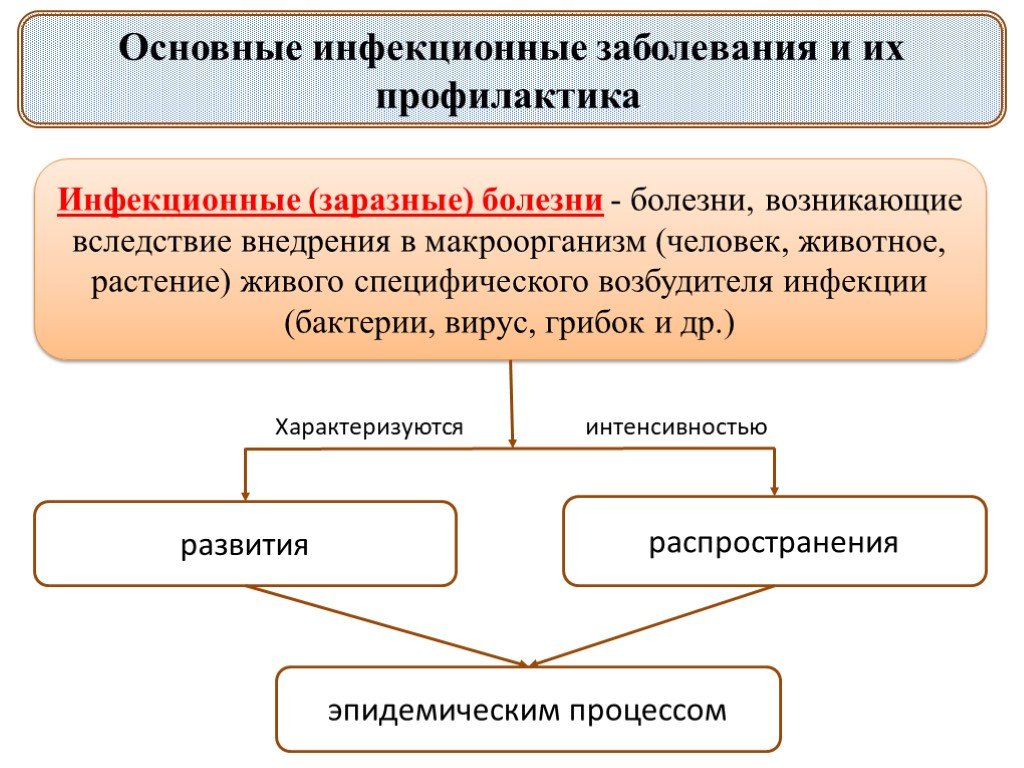 Презентация по инфекционным заболеваниям