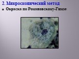 2. Микроскопический метод Окраска по Романовскому-Гимзе