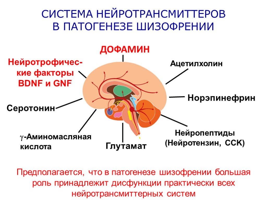 Захват дофамина. Дофаминовая теория патогенез шизофрении. Шизофрения биохимический механизм. Нейротрансмиттерная теория шизофрении. Механизм развития шизофрении.