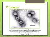 Частички Ротавируса (визуализированы имунным методом, электронная микроскопия) 70-nm частички, покрытые двумя характерными белковыми оболочками (капсидами) Метка = 100 nm. Image Credit: F.P. Williams, U.S. Environmental Protection Agency; Adapted from Parashar et al, Emerg Infect Dis 1998; 4(4): 561