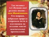 Так называл А.С.Пушкин своё родовое имение – село Михайловское. Его неяркая, неброская природа очаровала поэта и вдохновила на создание многих замечательных произведений.