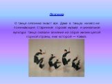 Лезгинка О танце лезгинка знают все. Даже в танцах ничего не понимающие. Старинная горская музыка и уникальная культура танца оказали влияние на образ жизни целой горной страны, имя которой — Кавказ.