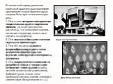 В начальный период развития советской архитектуры творческие организации «новой архитектуры» сыграли большую положительную роль. 1. Они стали центрами поляризации теоретических идей и творческих поисков, до этого достаточно хаотичных, что позволило выявить основные тенденции, понять их и оценить по 