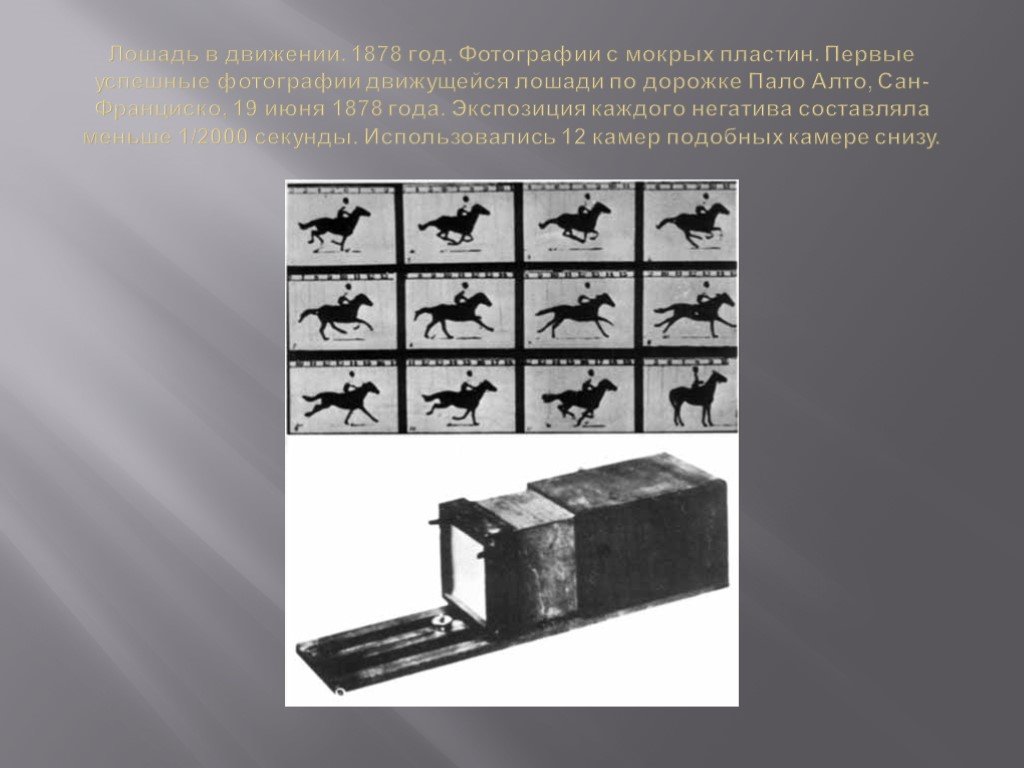 Презентация история одной фотографии