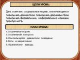 Дать понятия: социальные нормы, отклоняющееся поведение, девиантное поведение, делинквентное поведение, формальные, неформальные санкции, преступность. ЦЕЛИ УРОКА: ПЛАН УРОКА: 1.Социальные нормы 2.Социальный контроль 3.Отклоняющееся девиантное поведение 4.Тесты на закрепление 5. Практические выводы.