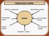Обычаи и традиции Моральные нормы. Эстетические нормы. Нормы этикета. Политические нормы. Религиозные нормы. Правовые нормы ЧЕЛОВЕК