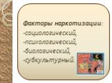 Факторы наркотизации: -социологический, -психологический, -биологический, -субкультурный.