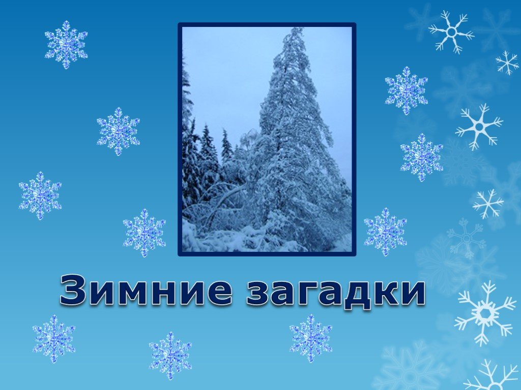 В гостях к зиме. Зимние загадки. Загадки про зиму. Загадки на тему зима. Зимние загадки для детей.