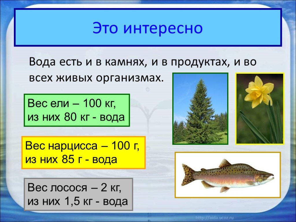 Проект про воду 10 класс