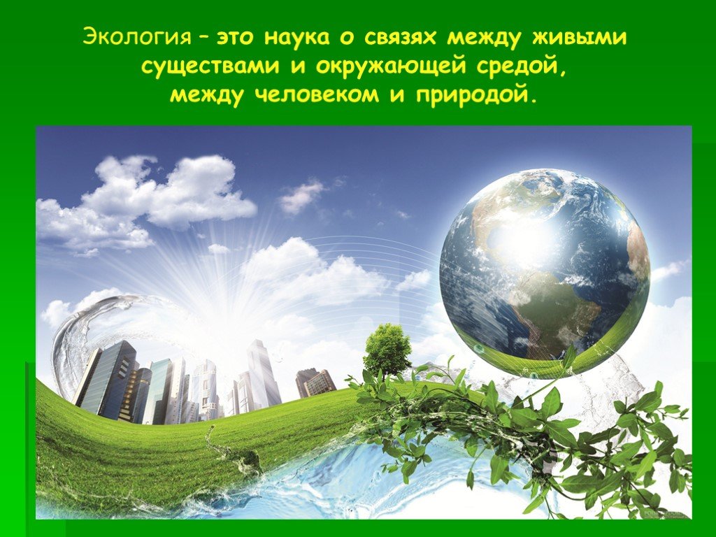 Экологическая экономика презентация - 98 фото