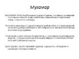 Мухомор. МУХОМОР КРАСНЫЙ широко распространен, особенно в северной половине лесной зоны, в хвойных, смешанных и березовых лесах, с июля по октябрь. Отличить мухомор от других видов грибов легко по ярко-красной шляпке и разбросанным по ее поверхности мелким беловатым хлопьям-бородавкам. Пластинки у н