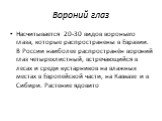 Вороний глаз. Насчитывается 20-30 видов вороньего глаза, которые распространены в Евразии. В России наиболее распространён вороний глаз четырехлистный, встречающийся в лесах и среди кустарников на влажных местах в Европейской части, на Кавказе и в Сибири. Растение ядовито