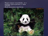 Поедает панда не только бамбук , но и некоторые другие растения , а также грызунов. Живёт она высоко в горах Китая , хорошо лазает по деревьям ,но большую часть времени проводит на земле.