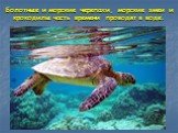 Болотные и морские черепахи, морские змеи и крокодилы часть времени проводят в воде.