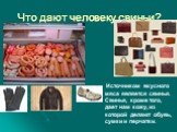 Что дают человеку свиньи? Источником вкусного мяса является свинья. Свинья, кроме того, дает нам кожу, из которой делают обувь, сумки и перчатки.