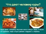 Что дают человеку куры? Куры дают человеку вкусное мясо и несут яйца, а также из куриного пера и пуха делают подушки и перины.