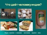 Что даёт человеку индюк? Индюк является в основном источником вкусного мяса.