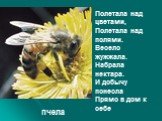 Полетала над цветами, Полетала над полями. Весело жужжала. Набрала нектара. И добычу понесла Прямо в дом к себе. пчела