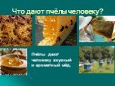 Что дают пчёлы человеку? Пчёлы дают человеку вкусный и ароматный мёд.