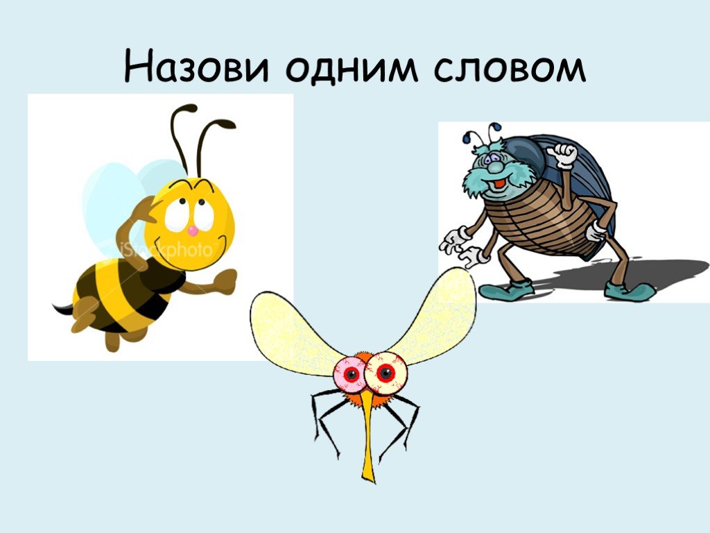 Назови 1 любой. Назови одним словом живые существа Воробей Оса. Воробей, Оса, щука одним словом. Одним словом комар, Воробей Оса щука заяц назови. Воробей Оса летучая мышь комар одним словом это.