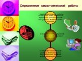 Определение самостоятельной работы