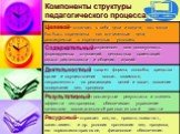 Компоненты структуры педагогического процесса