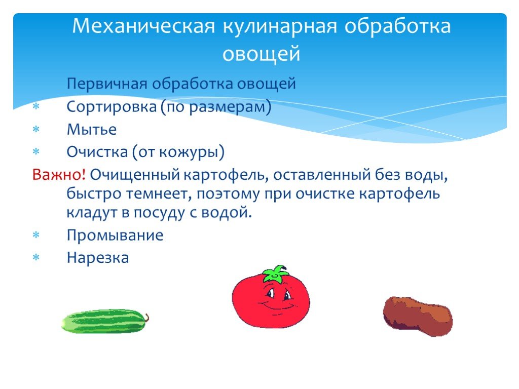 5 обработка овощей