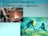 Осьминоги и дельфины, В Чёрном море – афалины.